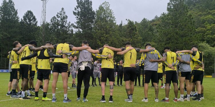 Deportivo Táchira cambia el chip y lidera el Apertura tras eliminación en Libertadores