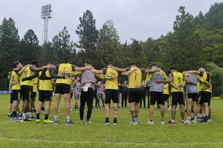 Deportivo Táchira cambia el chip y lidera el Apertura tras eliminación en Libertadores