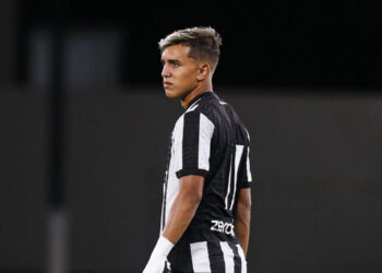 Ivan Molina, Botafogo
