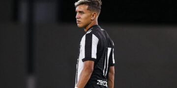 Ivan Molina, Botafogo
