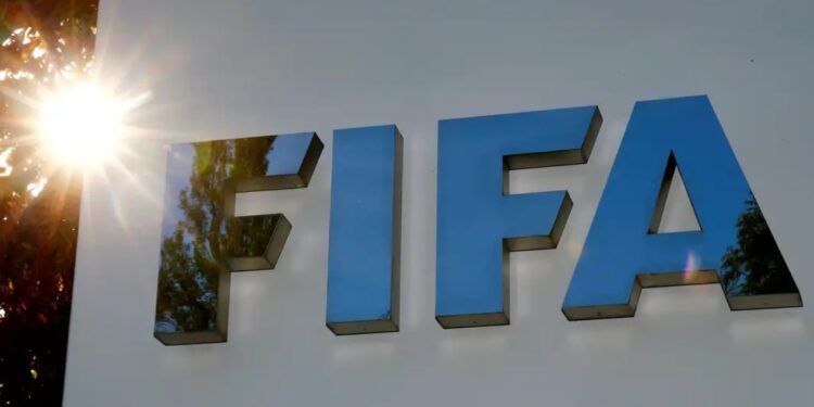 Venezuela en ascenso: la Vinotinto y su evolución en el ranking FIFA