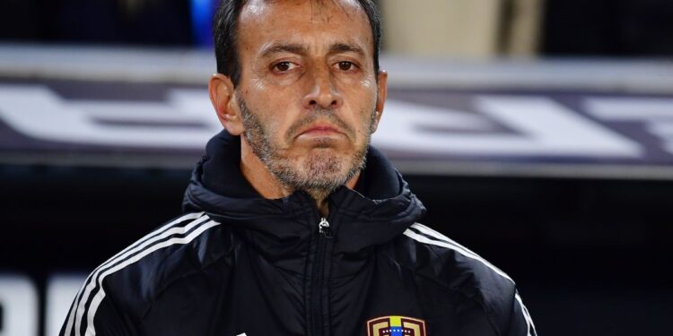 Vea los 5 entrenadores brasileños disponibles que podrían asumir la Selección de Venezuela