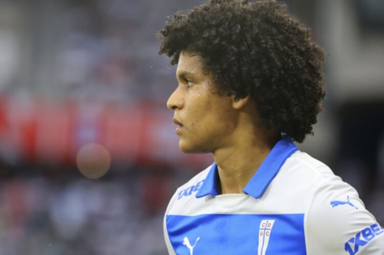 Consulta la evolución salarial de Eduard Bello en la Universidad Católica