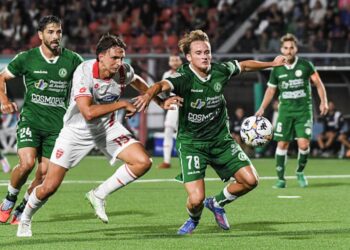 Consulta la evolución salarial de Alessandro Milani, del Avellino