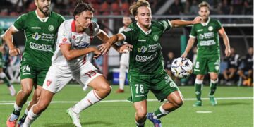 Consulta la evolución salarial de Alessandro Milani, del Avellino