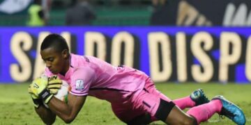 Consulta la evolución salarial de Wuilker Fariñez en el Rionegro Águillas