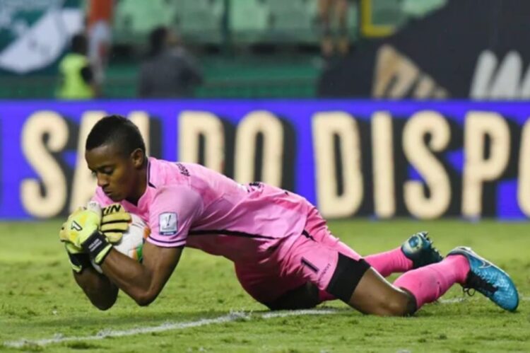 Consulta la evolución salarial de Wuilker Fariñez en el Rionegro Águillas